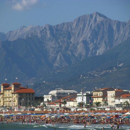 Отель I Levrieri Торре-дель-Лаго-Пуччини Экстерьер фото