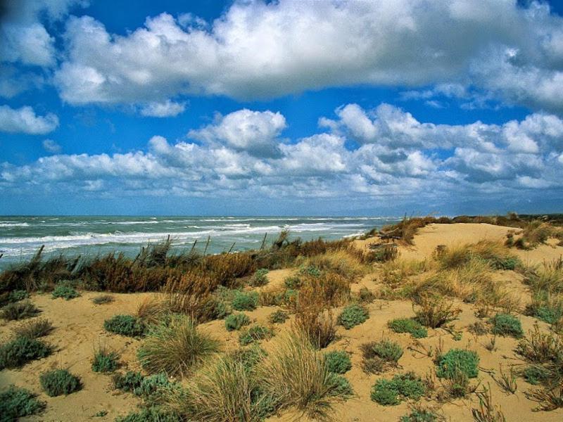 Отель I Levrieri Торре-дель-Лаго-Пуччини Экстерьер фото