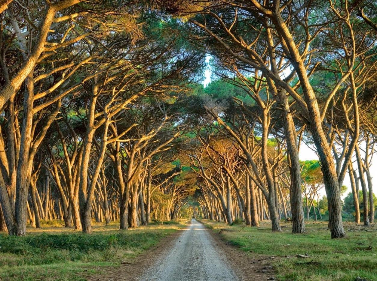 Отель I Levrieri Торре-дель-Лаго-Пуччини Экстерьер фото